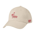 We Are America Price Buster Cap